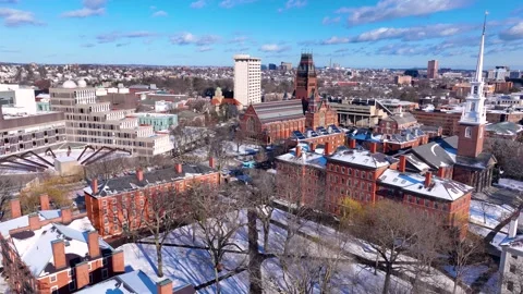 Old Harvard Yard aerial view, Cambridge, MA, USA 库存影片 330535201