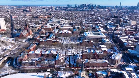 Old Harvard Yard aerial view, Cambridge, MA, USA 库存影片 330535256