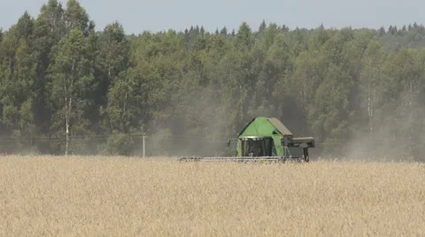 Old harvester on cornfield Stock Footage 62270734