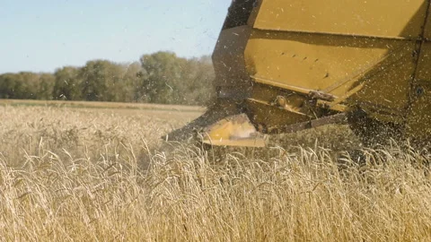 Old harvester working in the field. Stock Footage 95507569