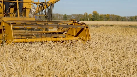 Old harvester working in the field. Stock Footage 95507588