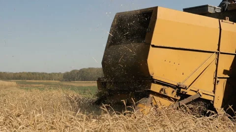 Old harvester working in the field. Stock Footage 95507625