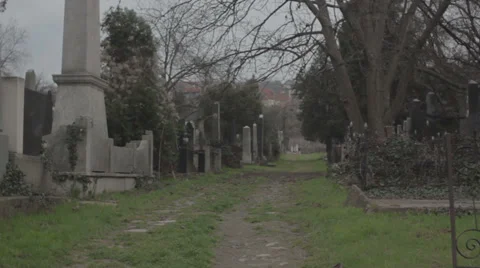 Old haunted cemetery [path] Video stock 35801397
