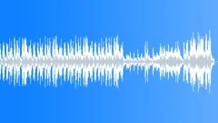 The Old Haunted HouseStock Music
