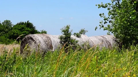 Old hay bales Stock Footage 76907416