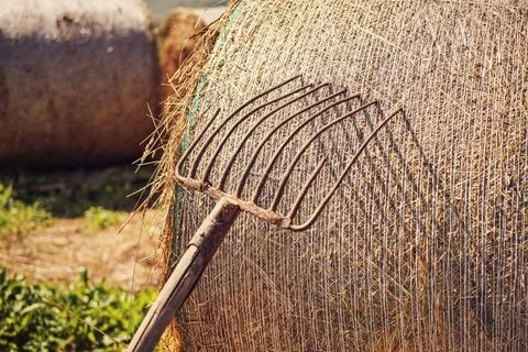 Old hay fork with one spike broken leaning on straw roll, closeup detail a... Stock Photos