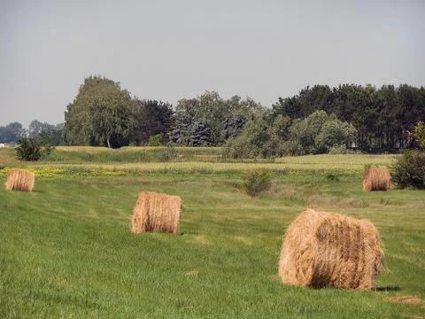 Old hay 스톡 사진