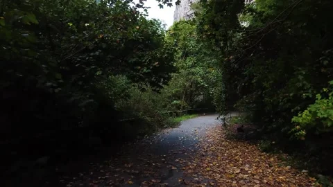 An old highway in the mountains and a mountain river. The view from the drone. Stock Footage 220574407