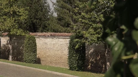 Old Historic Wall in a Park Full of Trees Video stock 300494823