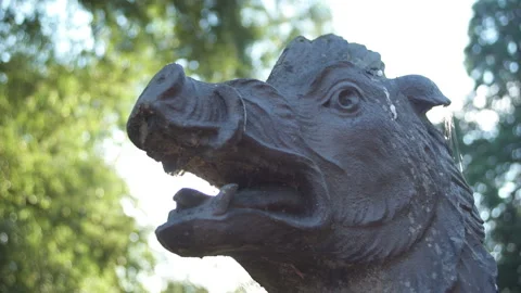 Old Hog Sculpture Against The Sun Stock Footage