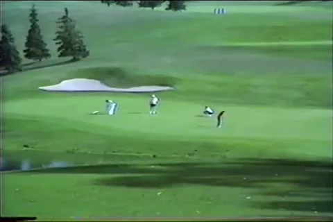 Old Home Video, golf course, green, trees, golf Stock Footage 258197228