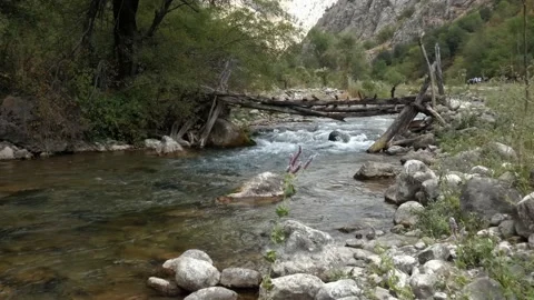 An old homemade bridge Stock Footage 160071283