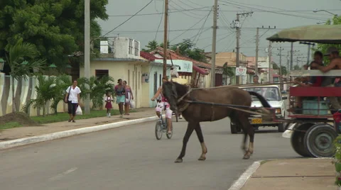 Old horse cart - bus pulls out onto road Stock Footage 40236959