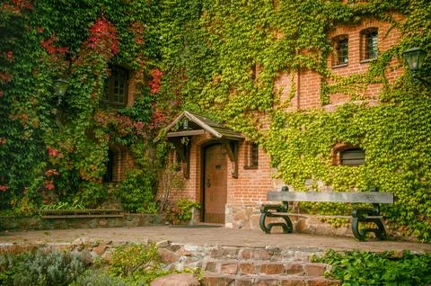 Old house with a bench covered with ivy Stock Photos