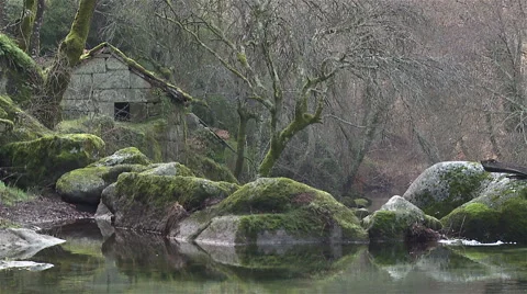 Old house on the brook. Stock Footage 62468578