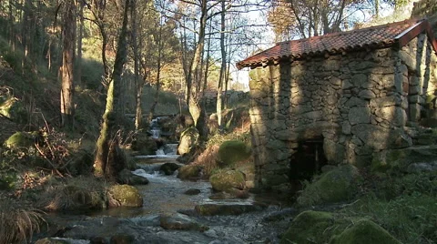 Old house on the brook. Stock Footage 62593061