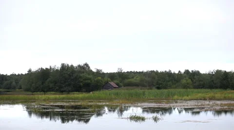 Old house on the edge of the pond 스톡 동영상 41633963