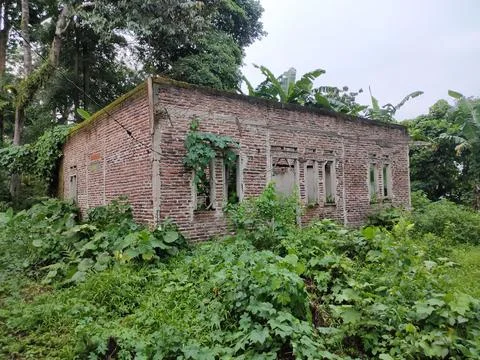 An old house that is empty, abandoned, not occupied until it is surrounded .. Foto stock
