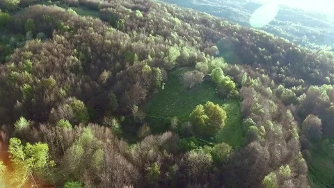 Old house in the forest Video stock 73043690