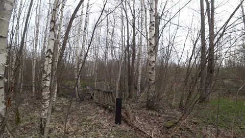 Old house in the forest Stock Footage 116741959