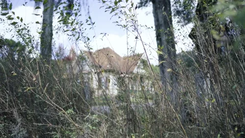 Old house in the forest Stock Footage 154387312