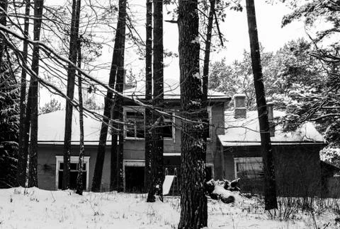 Old House In Forest Stock Photos
