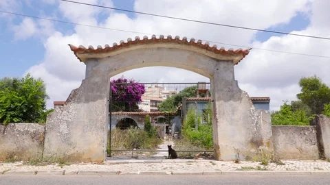 Old House Gate - Cat Sitting Video stock 111822201