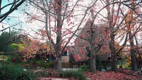 Old house with maple tree in an autumn farm. Colorful autumn house in Australia Stock Footage 140489177
