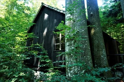 Old house with massive trunks in Kocevski rog Baza 20 Stock Photos