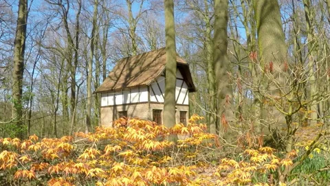 Old house in the park. Stock Footage 105262850