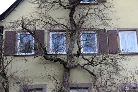 Old house Stock Photos