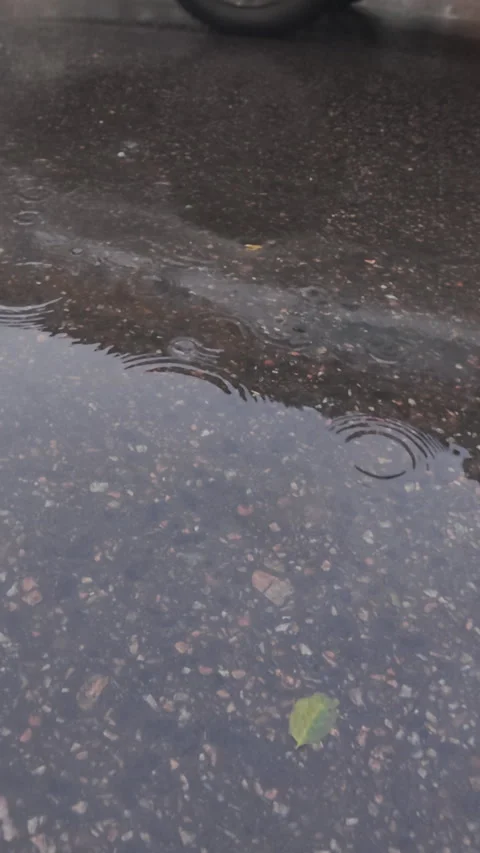 An old house is reflected in puddle on asphalt, cars rush along road, raindrops Stock Footage 346395453