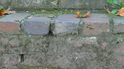Old house stairs 스톡 동영상 12388642