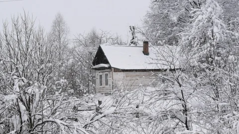Old house in the winter forest. Stock Footage 121359725