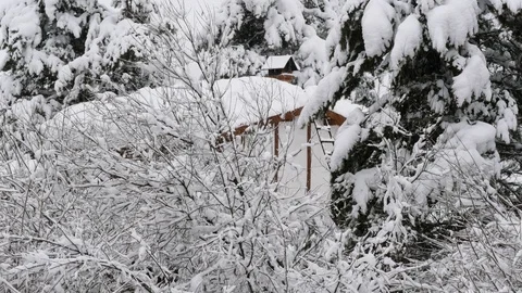Old house in the winter forest. Stock Footage 121359741