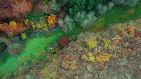 An old house in the woods Stock Footage 164917779