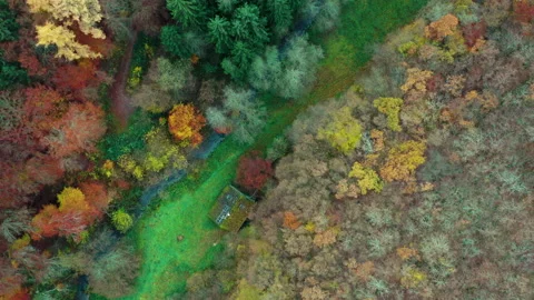 Old house in the woods Stock Footage 164978707