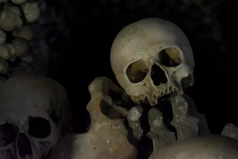 Old human skull and bones dumped in the background Stockfoto's