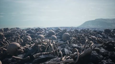 Old human skulls and bones left over from the battle. The concept of war and the Stock Illustration