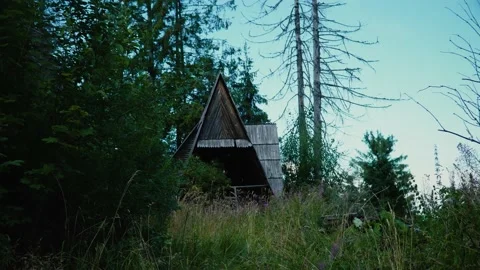 Old hut in the forest Stock Footage 205377255