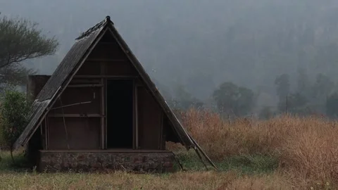 Old hut in forest Stock Footage 227081536