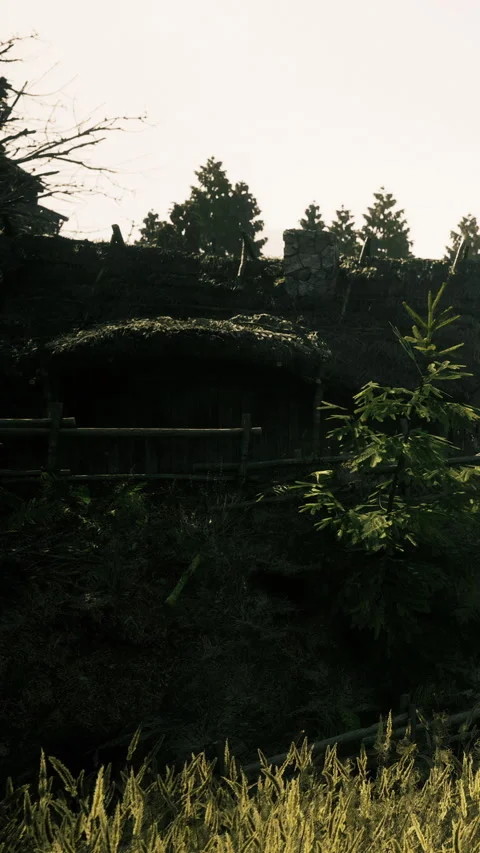 Old hut near forest with trees and wall in the background during daylight Stock Footage 339950078