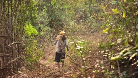 Old indian man with machete Stock Footage 264085707