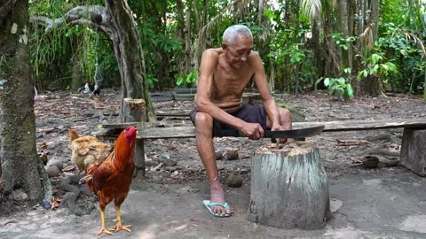 Old indigenous man in the Amazon rainforest at the Guama River in Brazil Stock Footage 302916429