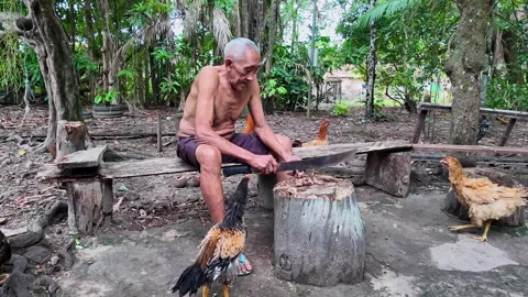 Old indigenous man in the Amazon rainforest at the Guama River in Brazil Stock Footage 302916506