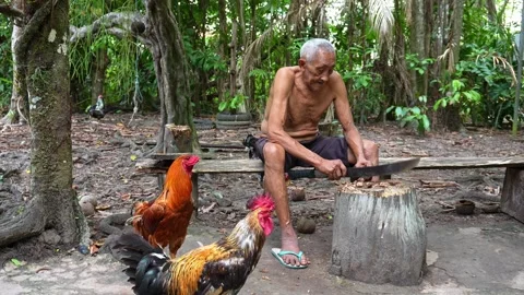 An old indigenous man in the Amazon rainforest at the Guama River, Belem, Brazil Stock-Footage 304996551