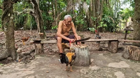 An old indigenous man in the Amazon rainforest at the Guama River, Belem, Brazil Stock Footage 304996561