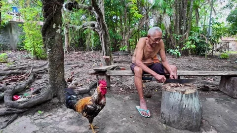 An old indigenous man in the Amazon rainforest at the Guama River, Belem, Brazil Stock Footage 304996627