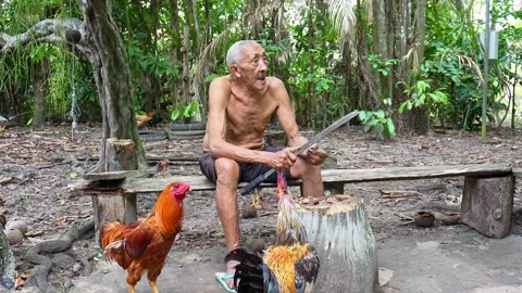 Old indigenous man in the Amazon rainforest at the Guama River in Brazil Stock Footage 307299693