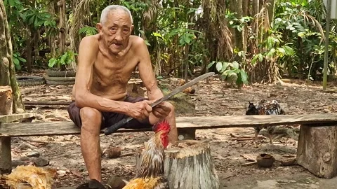 Old indigenous man in the Amazon rainforest at the Guama River in Brazil Stock Footage 307299735